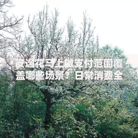 安逸花马上微支付范围覆盖哪些场景？日常消费全解析