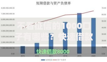 不看征信的1000口子有哪些？快速借款渠道解析