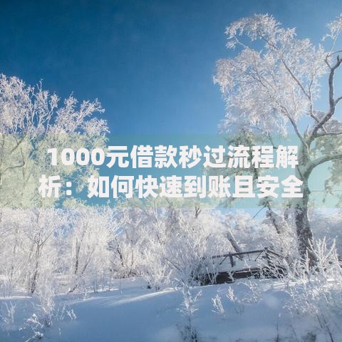 1000元借款秒过流程解析：如何快速到账且安全避坑？
