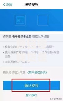 熊猫零钱贷是在哪个口子？正规申请渠道深度解析