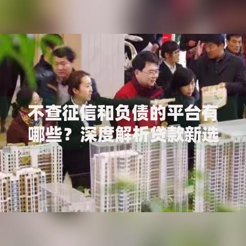 不查征信和负债的平台有哪些？深度解析贷款新选择