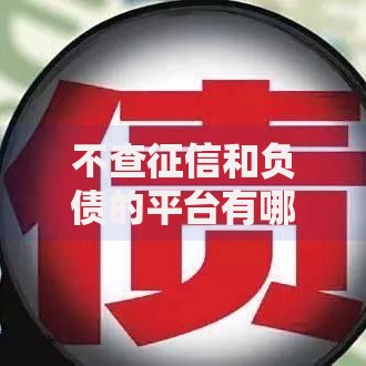 不查征信和负债的平台有哪些？深度解析贷款新选择