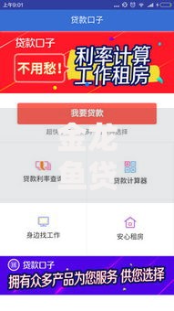 金龙鱼贷款系列口子有哪些正规申请渠道？
