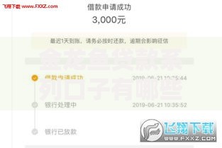金龙鱼贷款系列口子有哪些正规申请渠道？