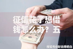 征信花了想借钱怎么办？五大实用解决方案解析