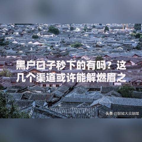 黑户口子秒下的有吗？这几个渠道或许能解燃眉之急