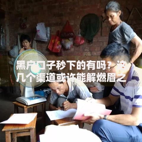 黑户口子秒下的有吗？这几个渠道或许能解燃眉之急