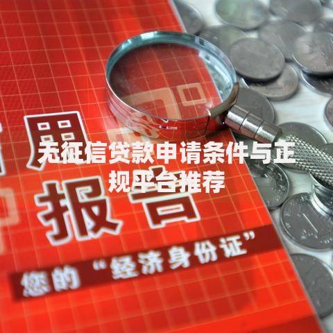 无征信贷款申请条件与正规平台推荐