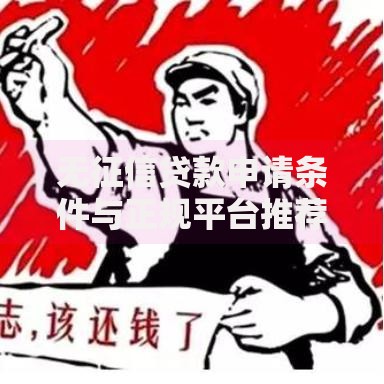 无征信贷款申请条件与正规平台推荐