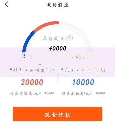 不上征信的秒下款口子：快速借款渠道深度解析