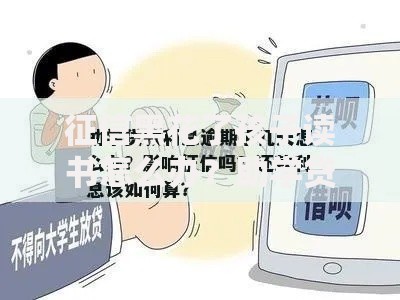 征信黑花了孩子读书怎么办？助学贷款申请攻略