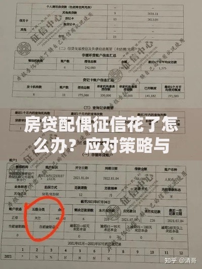 房贷配偶征信花了怎么办？应对策略与解决方案解析