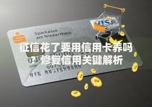 征信花了要用信用卡养吗？修复信用关键解析