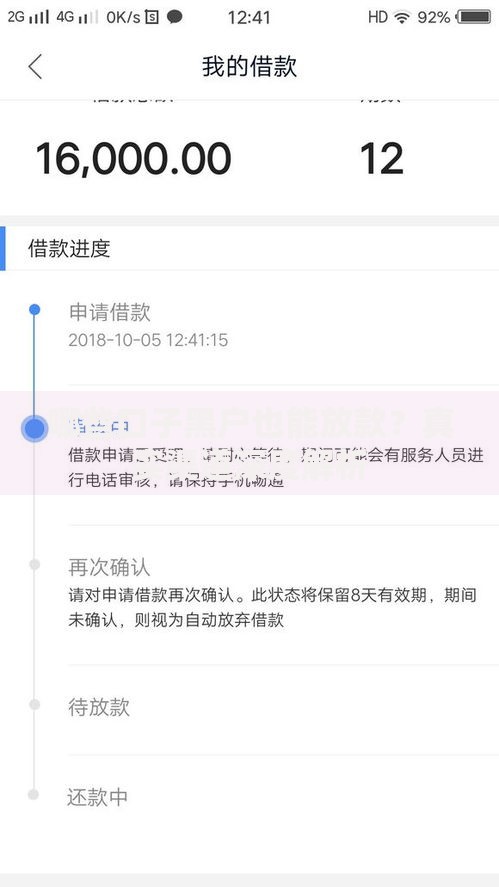 哪些口子黑户也能放款？真实渠道深度解析