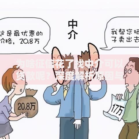 为啥征信花了找中介可以贷款呢？深度解析原因与风险