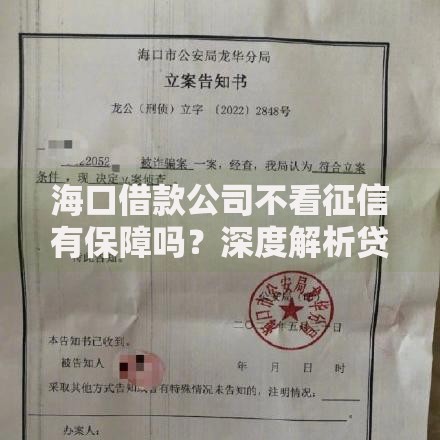 海口借款公司不看征信有保障吗？深度解析贷款风险与选择策略