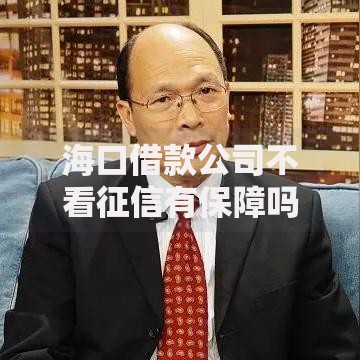 海口借款公司不看征信有保障吗？深度解析贷款风险与选择策略