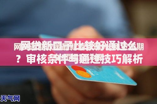 网贷新口子比较好通过么？审核条件与通过技巧解析