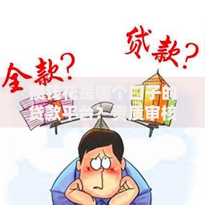 攒钱花是哪个口子的贷款平台？资质审核与产品解析