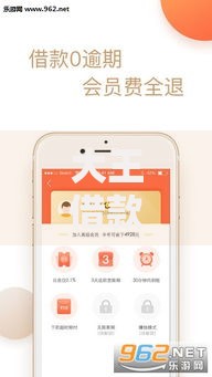 大王借款类似的口子有哪些？全面解析正规低息借贷平台