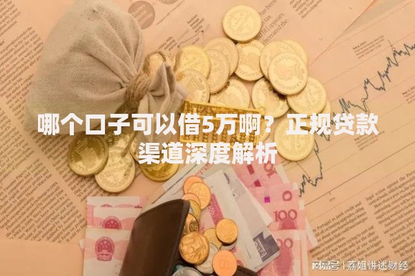 哪个口子可以借5万啊？正规贷款渠道深度解析