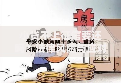 小贷不上征信要还吗？法律风险与应对策略全解析