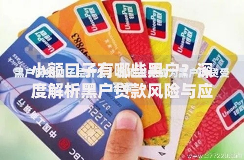 小额口子有哪些黑户？深度解析黑户贷款风险与应对策略