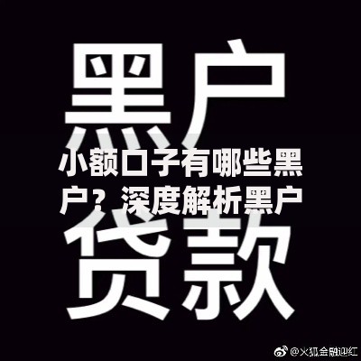 小额口子有哪些黑户？深度解析黑户贷款风险与应对策略