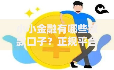 小小金融有哪些放款口子？正规平台推荐及申请指南
