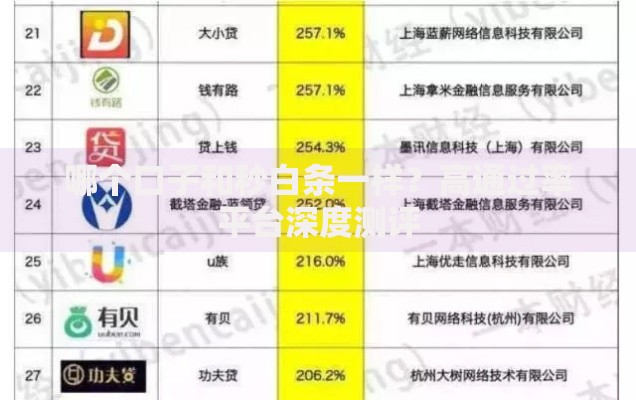哪个口子和秒白条一样？高通过率平台深度测评