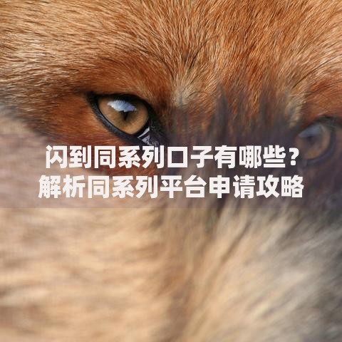 闪到同系列口子有哪些？解析同系列平台申请攻略