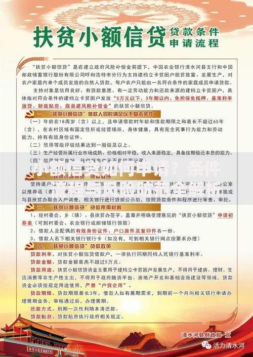 小额信贷如何申请？条件、流程与风险防范全解析