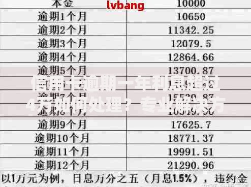 信用卡逾期一年利息超过4万如何处理？专业解决方案解析