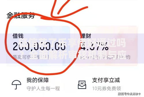 征信花了乐享借好通过吗？全面解析审核机制与应对策略