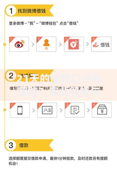 21天的借款口子有哪些？专业解析与选择攻略