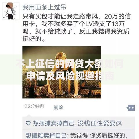 不上征信的网贷大额如何申请及风险规避指南