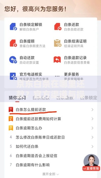 京东白条在哪里还款？官方渠道与操作步骤全解析