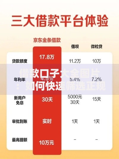 借款口子大全图片：如何快速筛选正规借贷渠道？