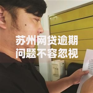 苏州网贷逾期问题不容忽视：如何化解金融风险？