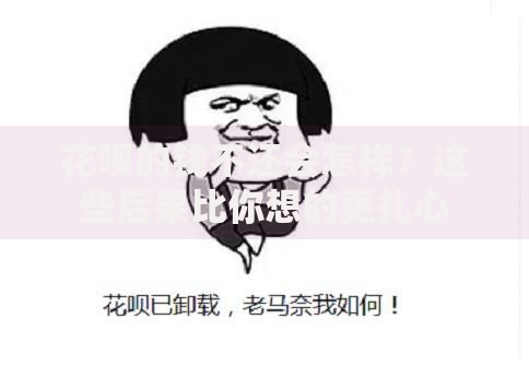 花呗的钱不还会怎样？这些后果比你想的更扎心