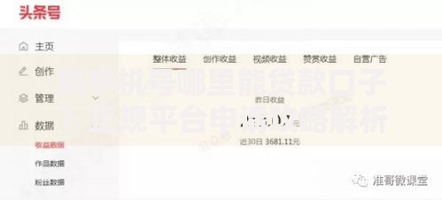 新手机号哪里能贷款口子？正规平台申请攻略解析