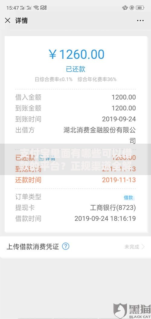 支付宝里面有哪些可以借款的平台？正规渠道全解析