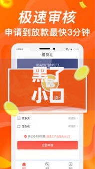 黑了小口子贷款：陷阱识别与安全借贷指南
