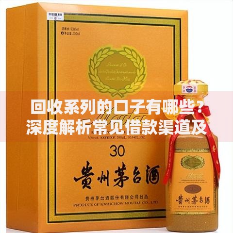 回收系列的口子有哪些？深度解析常见借款渠道及注意事项