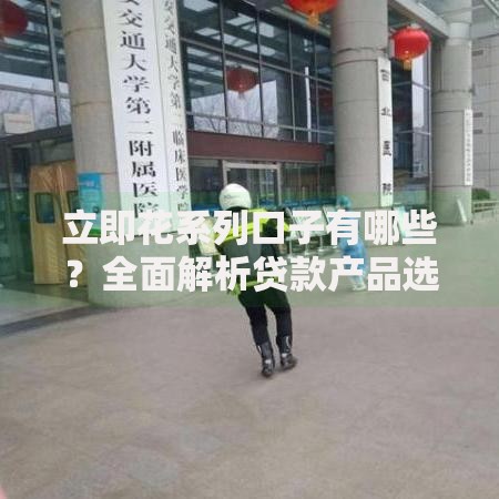 立即花系列口子有哪些？全面解析贷款产品选择技巧