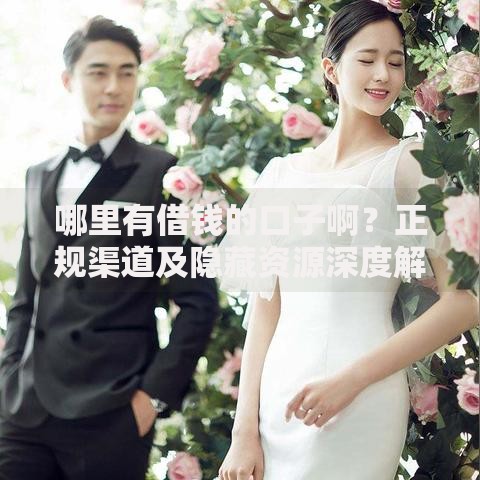 哪里有借钱的口子啊？正规渠道及隐藏资源深度解析