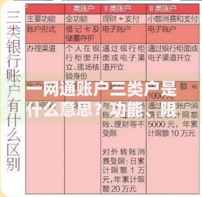 一网通账户三类户是什么意思？功能、限额与使用场景全解析