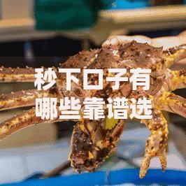 秒下口子有哪些靠谱选择？如何快速申请正规平台