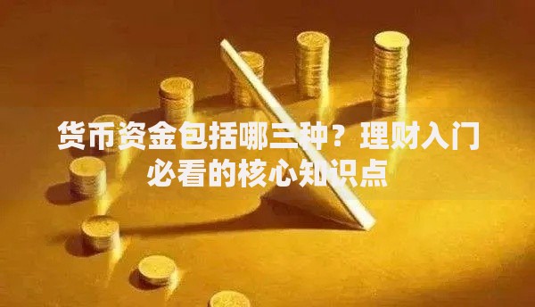 货币资金包括哪三种？理财入门必看的核心知识点