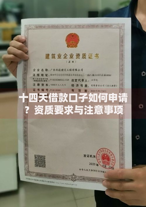 十四天借款口子如何申请？资质要求与注意事项